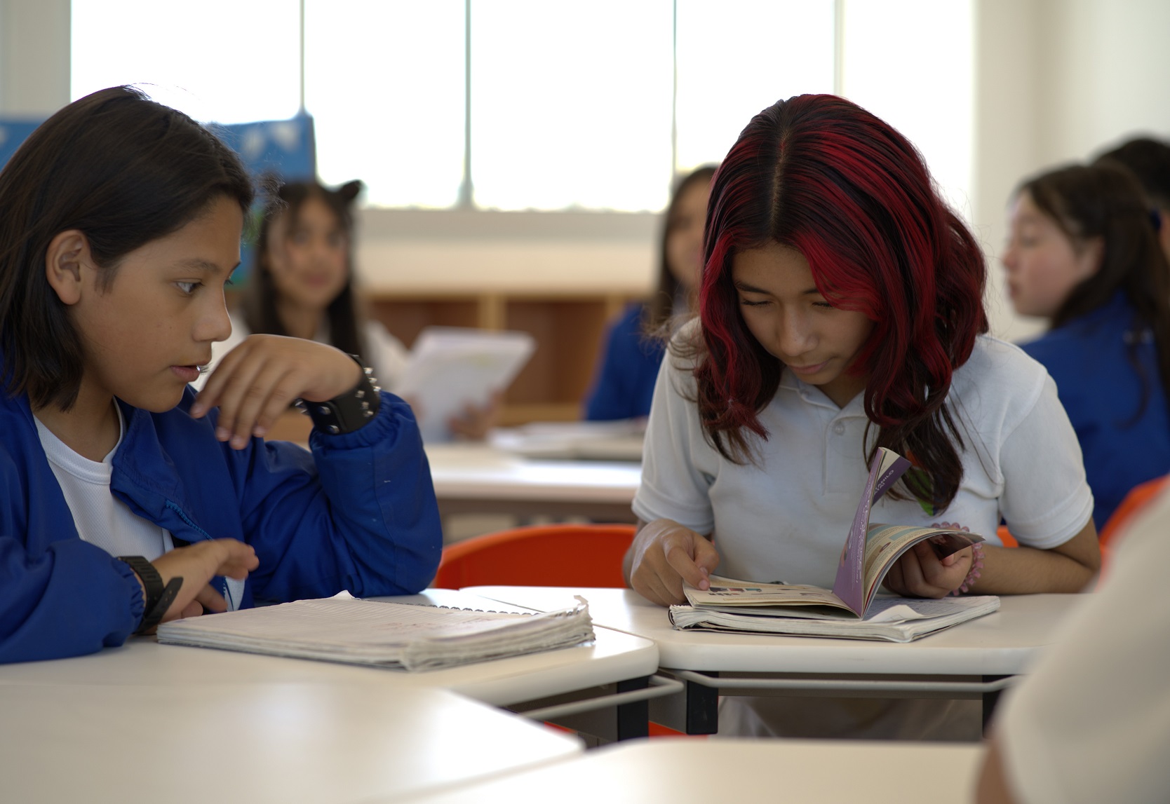 visual thinking innova schools